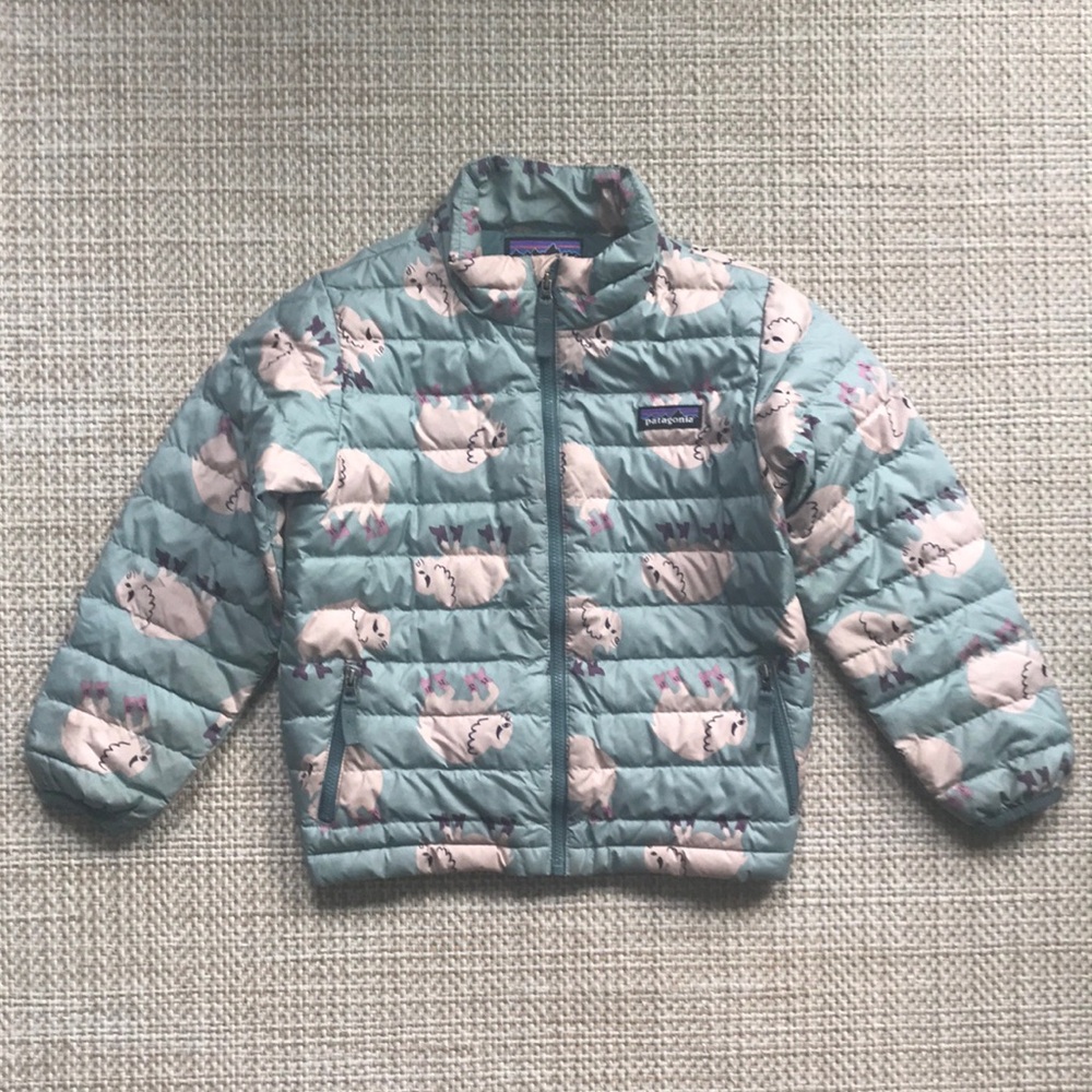 Patagonia Puffer Jacket (size 5T)